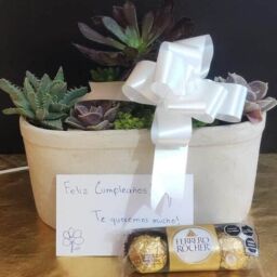 Kit de regalo para plantas